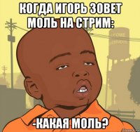 когда игорь зовет моль на стрим: -какая моль?