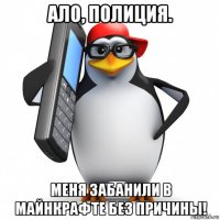 ало, полиция. меня забанили в майнкрафте без причины!