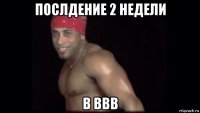 послдение 2 недели в ввв