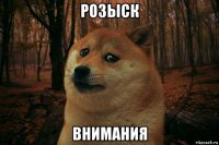 розыск внимания