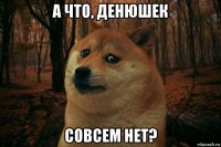 а что, денюшек совсем нет?