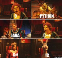 C Python Java C++ C# 1С