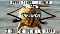 где все я тут один должен стродать или я блин волк или заец