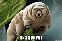  пиздокрот
