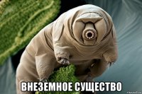  внеземное существо