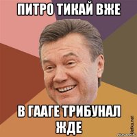 питро тикай вже в гааге трибунал жде