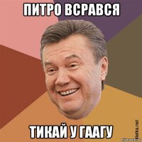 питро всрався тикай у гаагу