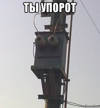 ты упорот 