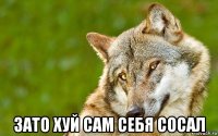  зато хуй сам себя сосал