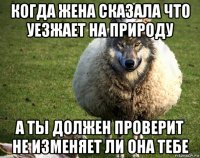 когда жена сказала что уезжает на природу а ты должен проверит не изменяет ли она тебе