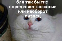 Создать мем 1