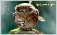 Создать мем 99