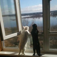 Создать мем До весны осталось 6 дней