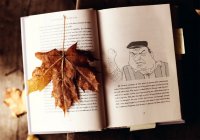 Создать мем Книга БЛЕАТЬ