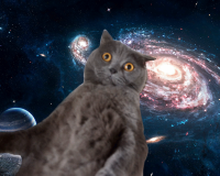 Создать мем Котэ
