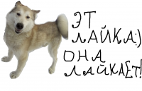 Создать мем Лайка