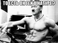 то есть он гей в натуре ? 