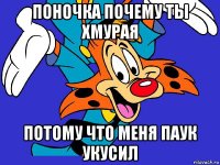 поночка почему ты хмурая потому что меня паук укусил
