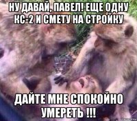 ну давай, павел! еще одну кс-2 и смету на стройку дайте мне спокойно умереть !!!