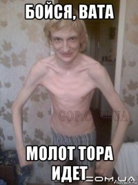 бойся, вата молот тора идет