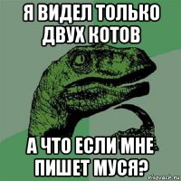 я видел только двух котов а что если мне пишет муся?