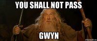 you shall not pass gwyn