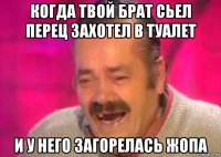 когда твой брат сьел перец захотел в туалет и у него загорелась жопа