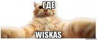 где wiskas