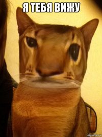 я тебя вижу 