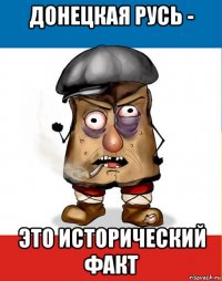 донецкая русь - это исторический факт
