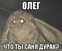 олег что ты саня дурак?