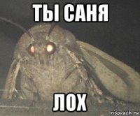 ты саня лох