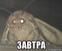  завтра