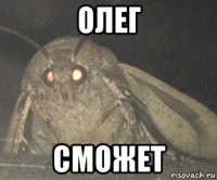 олег сможет