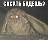 сосать будешь? 