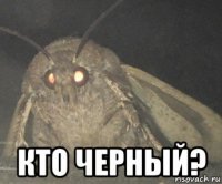  кто черный?