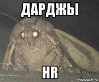 дарджы hr