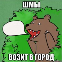 шмы возит в город