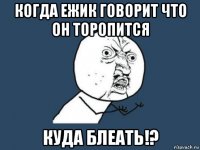 когда ежик говорит что он торопится куда блеать!?