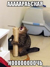ааааарабская ноооооооочь