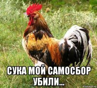  сука мой самосбор убили...