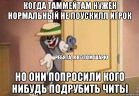 когда таммейтам нужен нормальный не лоускилл игрок но они попросили кого нибудь подрубить читы