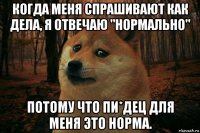 когда меня спрашивают как дела, я отвечаю "нормально" потому что пи*дец для меня это норма.