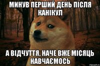 минув перший день після канікул а відчуття, наче вже місяць навчаємось