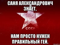 саня александрович знает, нам просто нужен правильный гей.