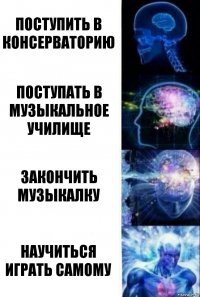 Поступить в консерваторию Поступать в музыкальное училище Закончить музыкалку Научиться играть самому