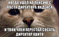 когда ушел на пенсию с поста директора яндекса и твой член перестал сосать директор авито