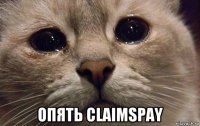  опять claimspay