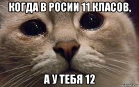 когда в росии 11 класов, а у тебя 12