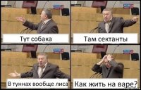 Тут собака Там сектанты В туннах вообще лиса Как жить на варе?